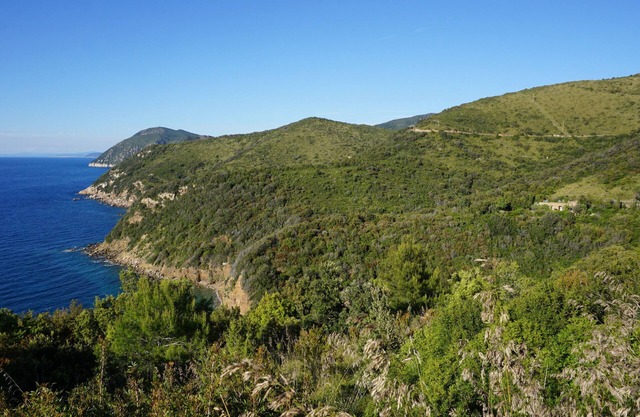 Casa dei Gabbiani, inmerso en el matorral mediterráneo