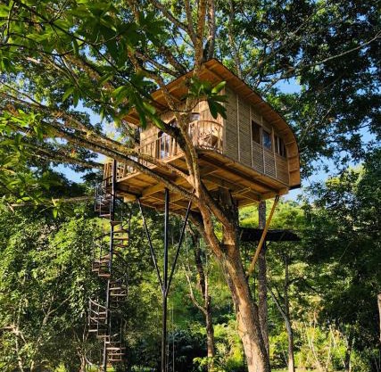 Casa del Árbol Colombia