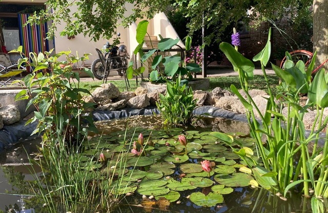 Casa del Geco