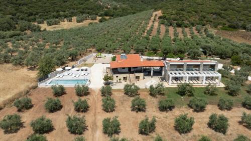 Casa Del Olivar