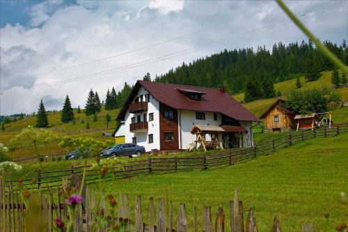 Casa din Plai - Bucovina
