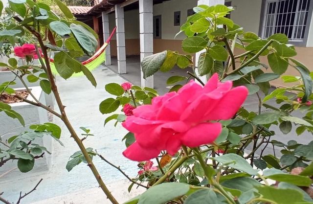 Casa do Bueno