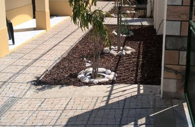 Casa do Limoeiro - Planta baja