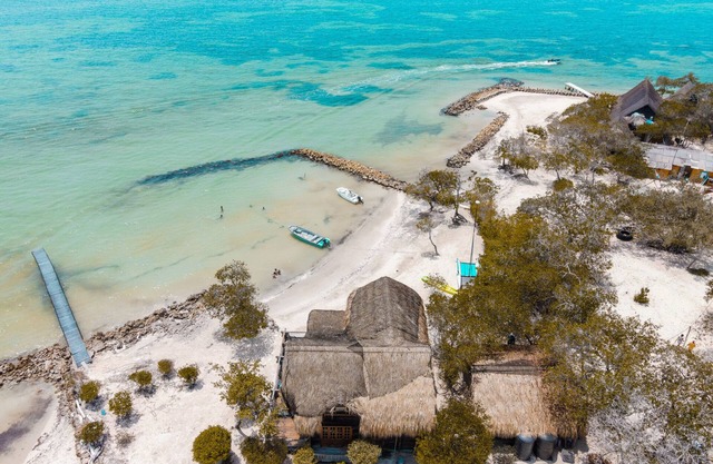 Casa frente al mar en Isla Baru: Oasis La Curiosa★