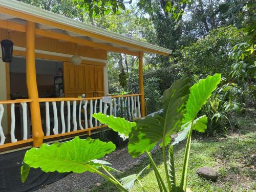 Casa gardenia cocles beach