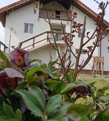 Casa Gheorghe
