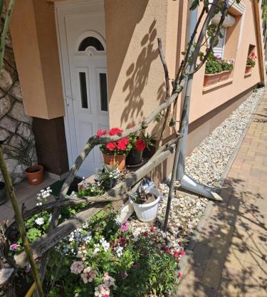 Casa Judit