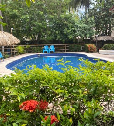 Casa jungla Palomino