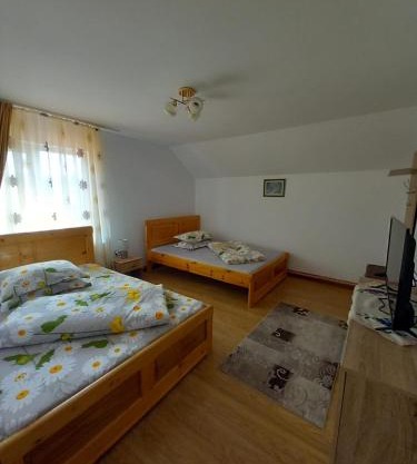 CASA LAVINIA CRASNA GORJ