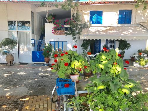 CASA LELA 3.HYDRA