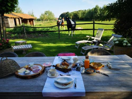 Casa Leone near Bruges with jacuzzi & parking