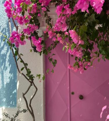 Casa Magnolia Boutique Rooms