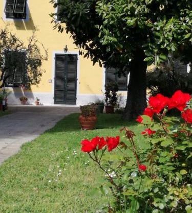 Casa Magnolia