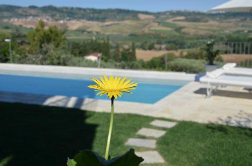 Casa Magnolia
