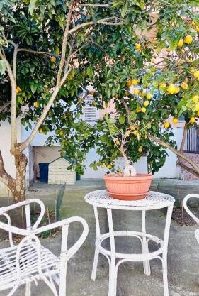 Casa Maria e giardino di limoni