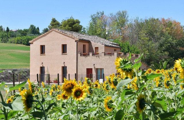 CASA MONTEFIORE 13 farmhouse in the Marche countryside