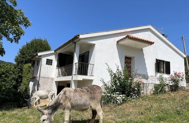 Casa Morais