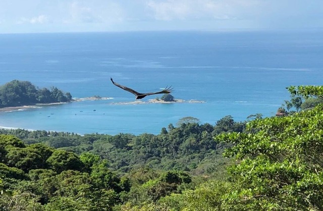 Casa Naranja Dominicalito Bahia Ballena, Villa pool, forest, superb bay view.