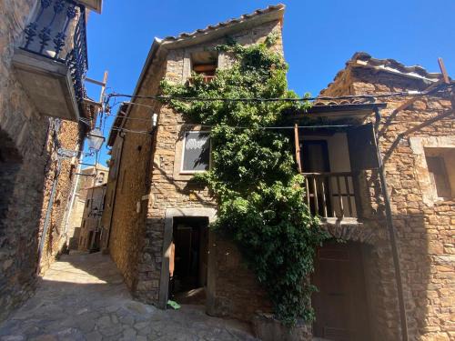 Casa Narcís