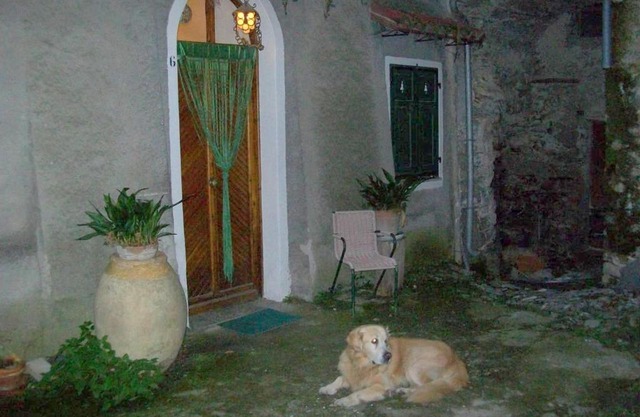 Casa Nemo