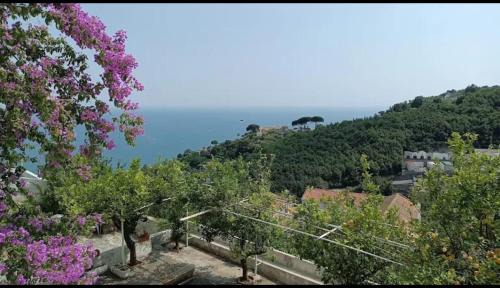 Casa Nina' tradicional Amalfi Coast Villa Retreat