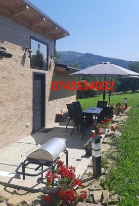 Casa nouă