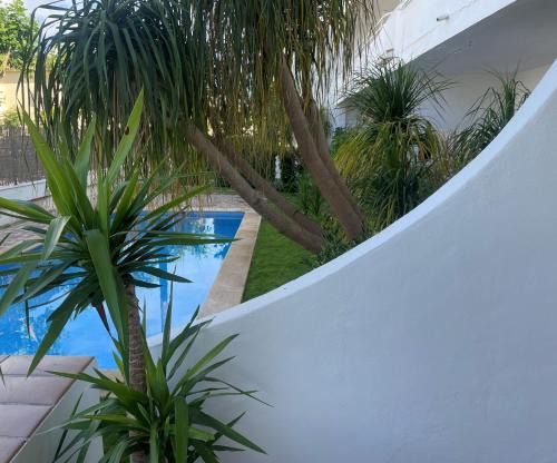 Casa Olé