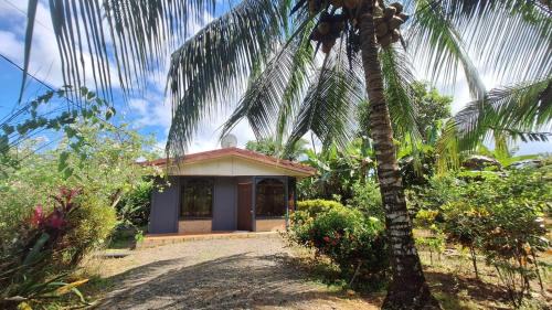 Casa Palmera