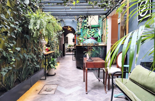 Casa Panuco