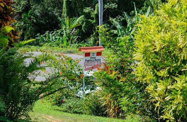 Casa Papito y Dania