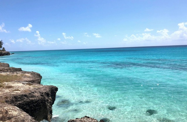 Casa pachulí una pequeña joya 5 minutos a brisa de la playa de Miami