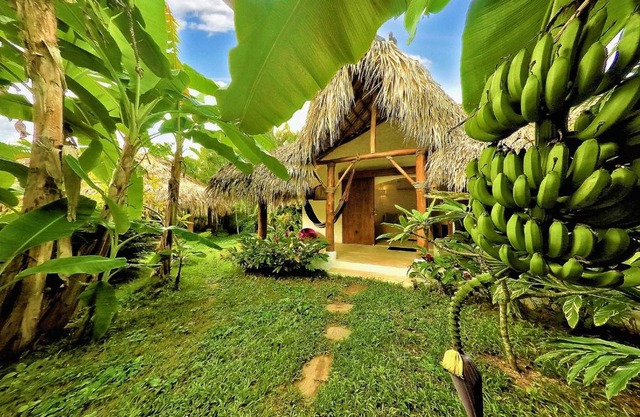 Casa Picaflor B&B
