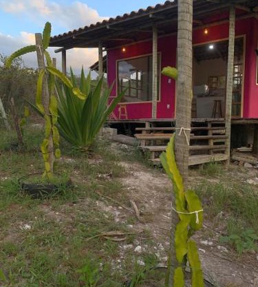 Casa Pitaya