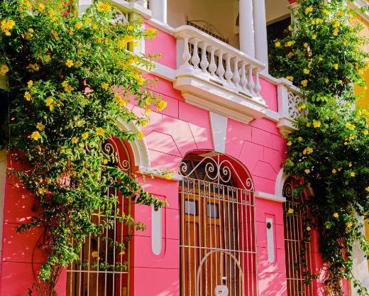 Casa Rosa - Alma Hotels
