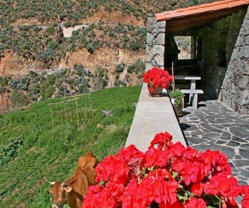 Casa rural El Coronel