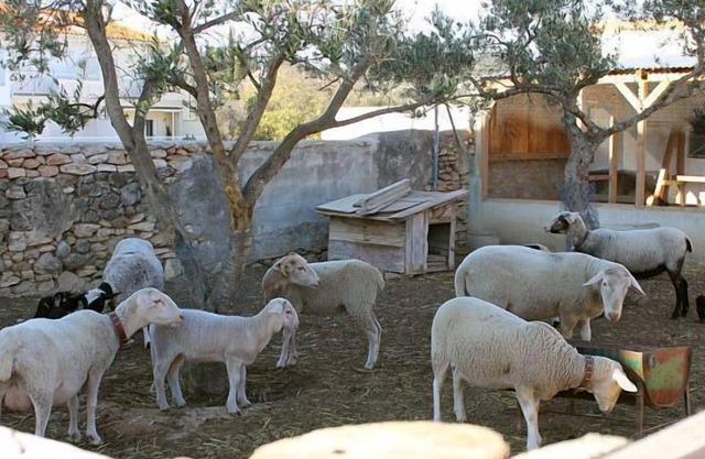 Casa rural Els Matalapers - Alquiler integro - 6 plazas