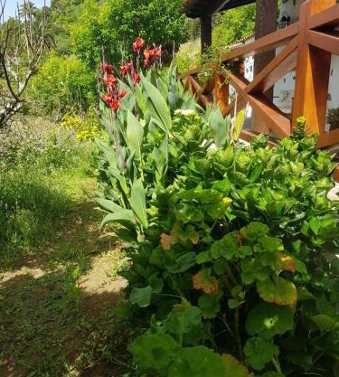 Casa rural La Gomera