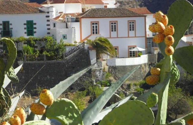 Casa Rural Las Cáscaras Tejeda Gran Canaria