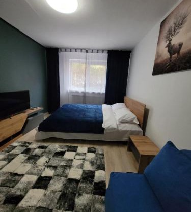 Casa Rusu -Moroasa-Self check in-24h Netflix
