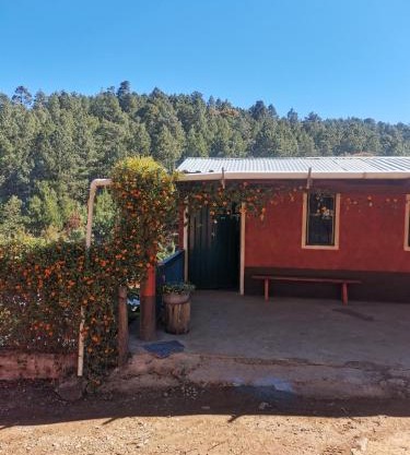 Casa Shalom