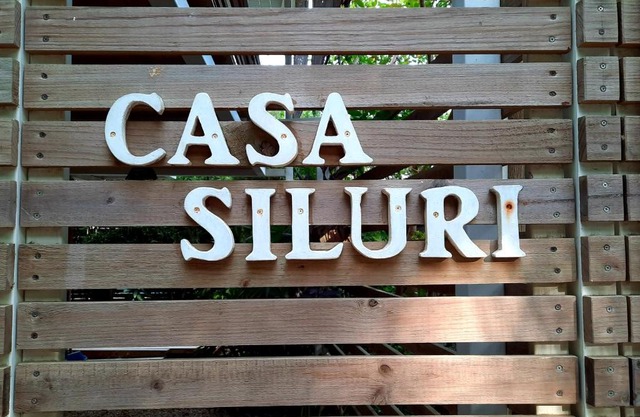 Casa SILURI