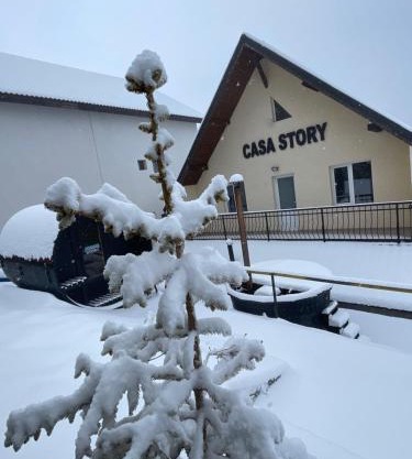 CASA STORY