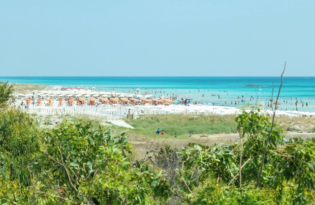 Casa vacanza Appartamento Spiaggiati