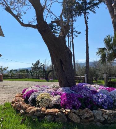 Casa Vacanza Capozzoli