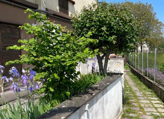 Casa Vacanza Regina