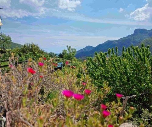 CASA VACANZE - Anna Holiday Home