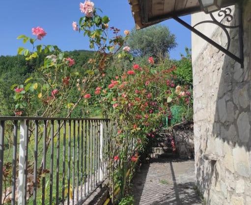 Casa Vacanze Le Vigne