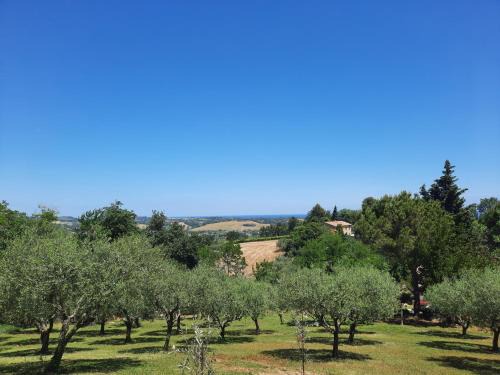 Casa Vacanze Stefania