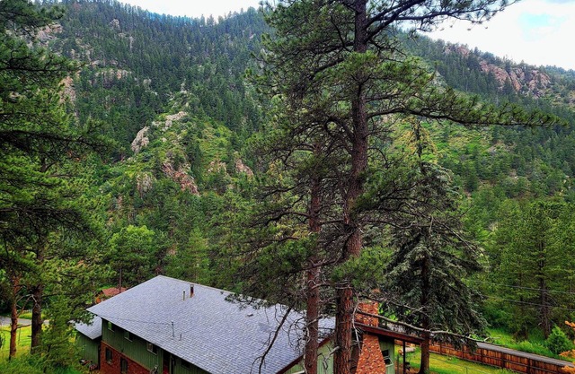 Casa Verde, near Rocky mountain national Park, fishing in private water,dogs OK!