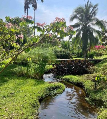 Casa Yami Lodge